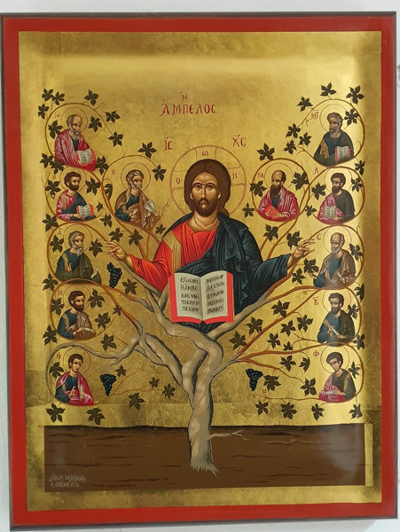 ΑΜΠΕΛΟΣ ΜΟΝΟΣΚΑΦΤΗ 20Χ16