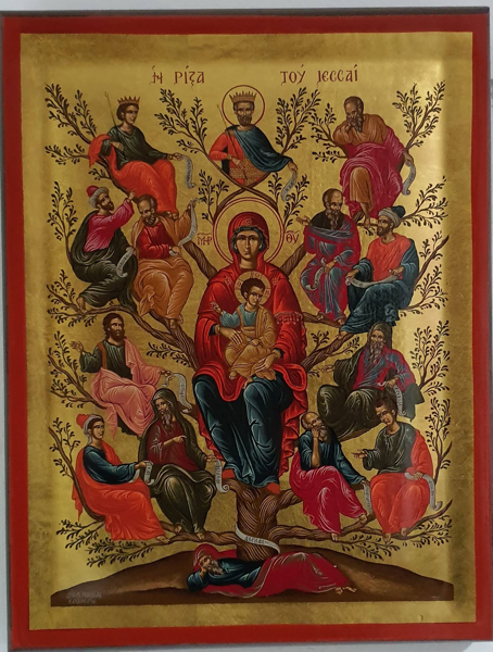 ΡΙΖΑ ΤΟΥ ΙΕΣΣΑΙ ΜΟΝΟΣΚΑΦΤΗ 20Χ16